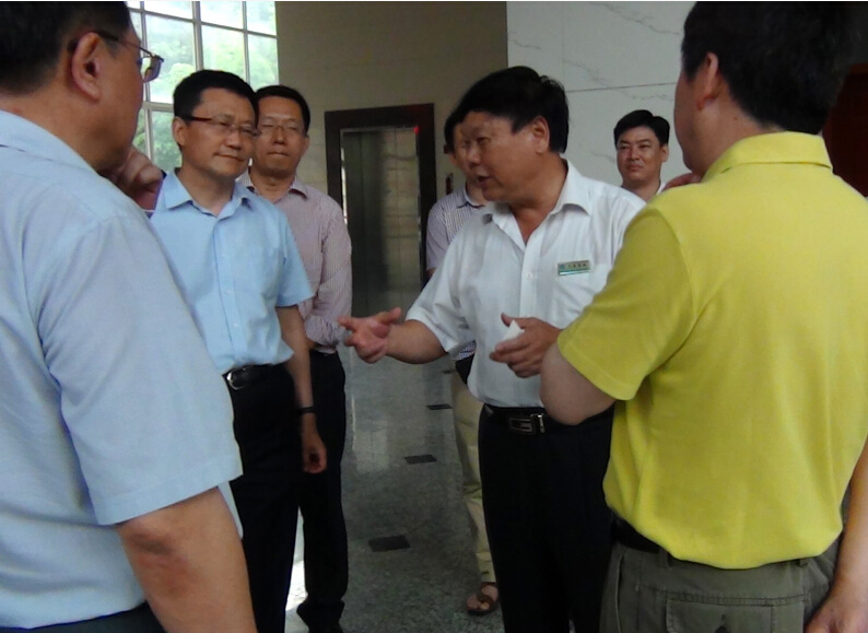 中國醫藥集團和龍巖市領導蒞臨我司視察調研